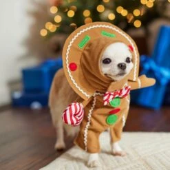 Frisco Front Walking Gingerbread Dog & Cat Costume 17 Frisco Front Walking Gingerbread Dog & Cat Costume -Hot Sale Pet Supplies 276156 PT8. AC SS1800 V1631568795