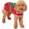 Frisco Holiday Giftbox Dog & Cat Costume -Hot Sale Pet Supplies 276175 MAIN. AC SS1800 V1631672803