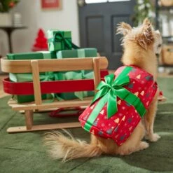 Frisco Holiday Giftbox Dog & Cat Costume -Hot Sale Pet Supplies 276175 PT8. AC SS1800 V1631574832