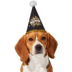 Frisco Happy New Year Dog & Cat Hat 9 Frisco Happy New Year Dog & Cat Hat -Hot Sale Pet Supplies 276190 PT2. AC SS1800 V1631303599