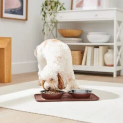 Frisco Silicone Stainless Steel Double Diner Dog & Cat Bowl, Brown 11 Frisco Silicone Stainless Steel Double Diner Dog & Cat Bowl, Brown -Hot Sale Pet Supplies 277551 PT2. AC SS1800 V1630346531