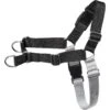 Frisco Basic No Pull Harness 2 Frisco Basic No Pull Harness -Hot Sale Pet Supplies 277873 MAIN. AC SS1800 V1629758946