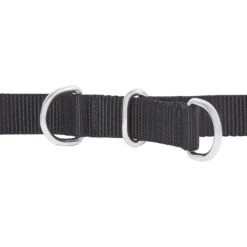 Frisco Basic No Pull Harness -Hot Sale Pet Supplies 277873 PT2. AC SS1800 V1629760100