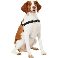Frisco Basic No Pull Harness -Hot Sale Pet Supplies 277873 PT3. AC SS1800 V1629766656