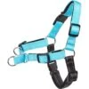 Frisco Padded Reflective No Pull Harness 1 Frisco Padded Reflective No Pull Harness -Hot Sale Pet Supplies 277892 MAIN. AC SS1800 V1629765598