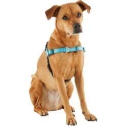 Frisco Padded Reflective No Pull Harness 10 Frisco Padded Reflective No Pull Harness -Hot Sale Pet Supplies 277892 PT3. AC SS1800 V1629758833