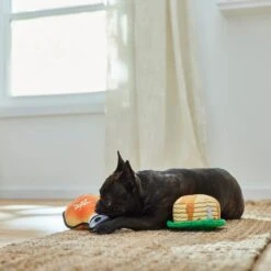 Frisco Fall Pancakes & Maple Syrup Plush Squeaky Dog Toy, 2 Count -Hot Sale Pet Supplies 285627 PT3. AC SS1800 V1629725170