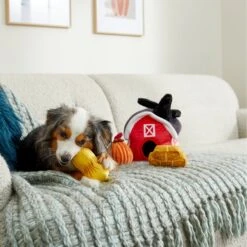 Frisco Fall Farmhouse Hide & Seek Puzzle Plush Squeaky Dog Toy 9 Frisco Fall Farmhouse Hide & Seek Puzzle Plush Squeaky Dog Toy -Hot Sale Pet Supplies 285629 PT3. AC SS1800 V1629725107