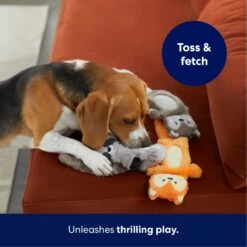 Frisco Forest Friends Stuffing-Free Skinny Plush Squeaky Dog Toy -Hot Sale Pet Supplies 286571 PT4. AC SS1800 V1695760935