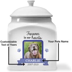 Frisco "Forever In Our Hearts" Personalized Urn -Hot Sale Pet Supplies 287037 PT4. AC SS1800 V1633702806