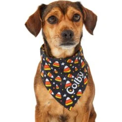 Frisco Candy Corn Personalized Dog & Cat Bandana -Hot Sale Pet Supplies 287056 PT6. AC SS1800 V1623246504