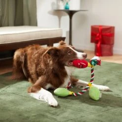 Frisco Holiday Lights Plush With Rope Squeaky Dog Toy -Hot Sale Pet Supplies 287109 PT3. AC SS1800 V1632775707