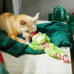 Frisco Holiday Monkey Plush With Rope Squeaky Dog Toy -Hot Sale Pet Supplies 287115 PT3. AC SS1800 V1632774182