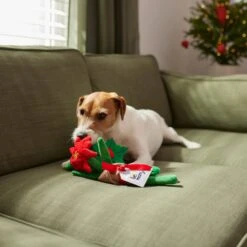 Frisco Flower Bouquet Plush Squeaky Dog Toy 9 Frisco Flower Bouquet Plush Squeaky Dog Toy -Hot Sale Pet Supplies 287163 PT3. AC SS1800 V1632776821