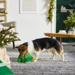 Frisco Holiday Tree Thin Plush Squeaky Dog Toy -Hot Sale Pet Supplies 287167 PT3. AC SS1800 V1632773873