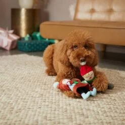 Frisco Holiday Carolers Plush Squeaky Dog Toy, 3 Count -Hot Sale Pet Supplies 287169 PT3. AC SS1800 V1632774907