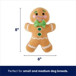 Frisco Holiday Naughty Or Nice Gingerbread Man Reversible Plush Squeaky Dog Toy 9 Frisco Holiday Naughty Or Nice Gingerbread Man Reversible Plush Squeaky Dog Toy -Hot Sale Pet Supplies 287217 PT1. AC SS1800 V1694814444