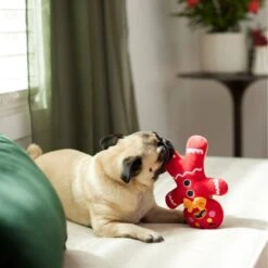 Frisco Holiday Naughty Or Nice Gingerbread Man Reversible Plush Squeaky Dog Toy 11 Frisco Holiday Naughty Or Nice Gingerbread Man Reversible Plush Squeaky Dog Toy -Hot Sale Pet Supplies 287217 PT3. AC SS1800 V1632775304