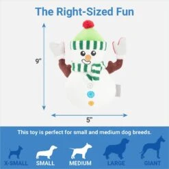 Frisco Holiday Naughty Or Nice Snowman Reversible Plush Squeaky Dog Toy -Hot Sale Pet Supplies 287219 PT2. AC SS1800 V1637704003