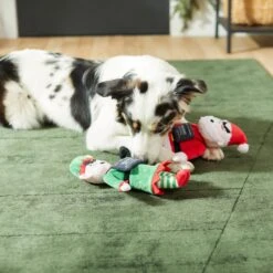 Frisco Holiday Bad Santa & Elf Plush Squeaky Dog Toy -Hot Sale Pet Supplies 287223 PT3. AC SS1800 V1632773570