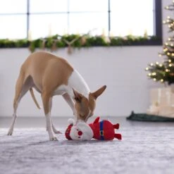 Frisco Holiday Santa & Snowman Reversible Plush Squeaky Dog Toy -Hot Sale Pet Supplies 287263 PT3. AC SS1800 V1632775712