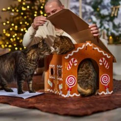 Frisco Holiday Gingerbread House Cardboard Cat House Cat Toy -Hot Sale Pet Supplies 287289 PT3. AC SS1800 V1695046487