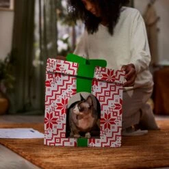 Frisco Holiday Gift Box Cardboard Cat House 11 Frisco Holiday Gift Box Cardboard Cat House -Hot Sale Pet Supplies 287291 PT3. AC SS1800 V1695043502