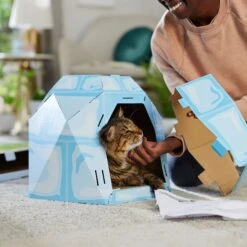 Frisco Igloo Cardboard Cat House -Hot Sale Pet Supplies 287293 PT3. AC SS1800 V1692035199