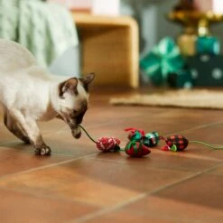 Frisco Holiday Mice Cat Toy With Catnip, 5 Count -Hot Sale Pet Supplies 287307 PT3. AC SS1800 V1632773326