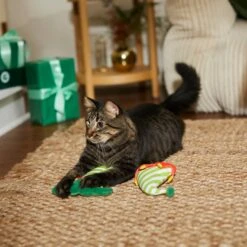 Frisco Holiday Elf Legs & Hat Plush Cat Toy With Catnip, 2 Count -Hot Sale Pet Supplies 287365 PT3. AC SS1800 V1632776685
