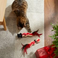 Frisco Holiday Bacon Plush Cat Toy With Catnip, 2 Count 7 Frisco Holiday Bacon Plush Cat Toy With Catnip, 2 Count -Hot Sale Pet Supplies 287377 PT3. AC SS1800 V1632773555