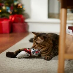 Frisco Holiday Raccoon Kicker Plush Cat Toy With Catnip 8 Frisco Holiday Raccoon Kicker Plush Cat Toy With Catnip -Hot Sale Pet Supplies 287379 PT3. AC SS1800 V1632776287