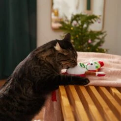 Frisco Naughty Or Nice Snowman Reversible Plush Cat Toy With Catnip -Hot Sale Pet Supplies 287387 PT3. AC SS1800 V1632774541