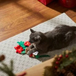 Frisco Flower Bouquet Plush Cat Toy With Catnip 8 Frisco Flower Bouquet Plush Cat Toy With Catnip -Hot Sale Pet Supplies 287395 PT3. AC SS1800 V1632774747