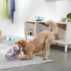 Frisco Scale Plush Squeaky Dog Toy -Hot Sale Pet Supplies 288911 PT3. AC SS1800 V1638289585