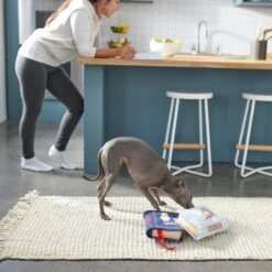 Frisco Cookbooks Plush Squeaky Dog Toy, 2 Count -Hot Sale Pet Supplies 288937 PT3. AC SS1800 V1638287852