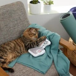 Frisco Scale & Message Bubble Plush Cat Toy With Catnip, 2 Count 7 Frisco Scale & Message Bubble Plush Cat Toy With Catnip, 2 Count -Hot Sale Pet Supplies 288959 PT3. AC SS1800 V1638288401