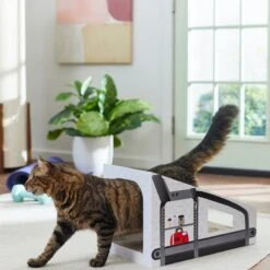 Frisco Treadmill Cardboard Cat House -Hot Sale Pet Supplies 288967 PT3. AC SS1800 V1638288289