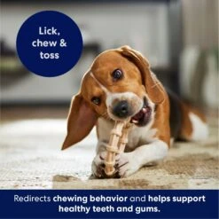 Frisco Ring Tough Nylon Chew Dog Toy, Chicken Flavor -Hot Sale Pet Supplies 290533 PT4. AC SS1800 V1695760990