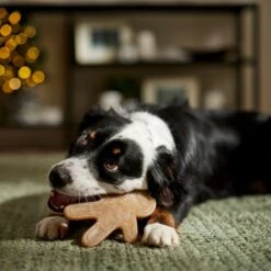 Frisco Nylon Gingerbread Dog Chew Toy, Beef Flavor, Medium -Hot Sale Pet Supplies 291385 PT3. AC SS1800 V1668108316