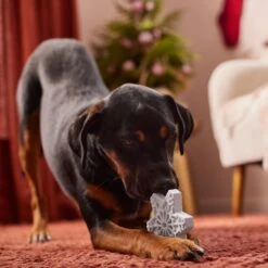 Frisco Holiday Nylon Snowflake Dog Chew Toy, Peanut Butter Flavor, Medium -Hot Sale Pet Supplies 291387 PT3. AC SS1800 V1629306692