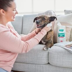 Frisco Gentle Cleaning Waterless Grooming Wipes For Puppies & Kittens, Green Tea Scent -Hot Sale Pet Supplies 291592 PT4. AC SS1800 V1627306695