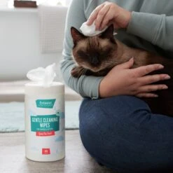 Frisco Gentle Cleaning Waterless Grooming Wipes For Puppies & Kittens, Green Tea Scent -Hot Sale Pet Supplies 291592 PT5. AC SS1800 V1627306905