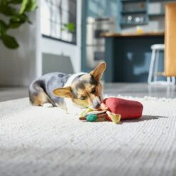 Frisco Brunch Bloody Mary Plush Squeaky Dog Toy -Hot Sale Pet Supplies 297228 PT2. AC SS1800 V1642088343