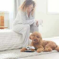 Frisco Brunch Teacup Plush Squeaky Dog Toy -Hot Sale Pet Supplies 297232 PT3. AC SS1800 V1642087957