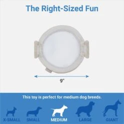 Frisco Brunch Pastry Plate Plush Squeaky Dog Toy -Hot Sale Pet Supplies 297262 PT1. AC SS1800 V1643916390