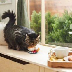 Frisco Brunch Teacup Plush Cat Toy With Catnip -Hot Sale Pet Supplies 297292 PT2. AC SS1800 V1642088843