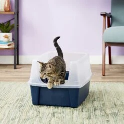 Frisco Plastic Litter Scooper With Caddy & IRIS USA Open Top Litter Box With Scatter Shield -Hot Sale Pet Supplies 298166 PT6. AC SS1800 V1623202669