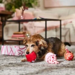 Frisco Valentine Cupcakes Plush Squeaky Dog Toy -Hot Sale Pet Supplies 298913 PT3. AC SS1800 V1701365164