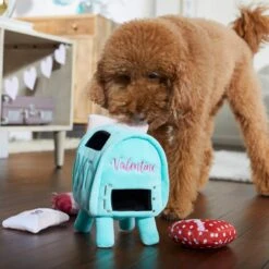 Frisco Valentine Love Letters Hide & Seek Puzzle Plush Squeaky Dog Toy 10 Frisco Valentine Love Letters Hide & Seek Puzzle Plush Squeaky Dog Toy -Hot Sale Pet Supplies 298929 PT3. AC SS1800 V1638987486